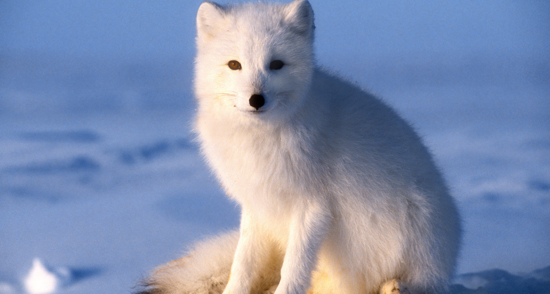 あああああああああああ